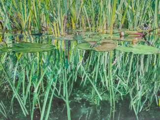 Johannes Schramm (München 1965). Stilles Grün.