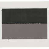 BRICE MARDEN (1938-2023) - photo 1