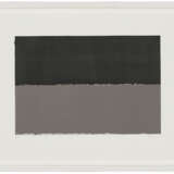 BRICE MARDEN (1938-2023) - photo 2