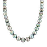 Tahitian-Pearl-Set: Necklace and Ear Studs - photo 1