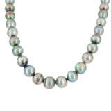 Tahitian-Pearl-Set: Necklace and Ear Studs - photo 2