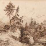 Künstler 19. Jh. "Bewaldete Gebirgslandschaft mit Rehen", Federzeichnung, unsign., leicht fleckig, 14,5x19,5 cm, im Passepartout hinter Glas und Rahmen - photo 1