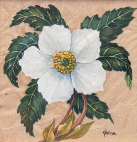 Reine, Käthe (1894 Halver-1976 Rostock) "Christrose", Aquarell/ Tempra auf Japanpapier (so vero bez.), 10x10 cm, hinter Glas und Rahmen - фото 1