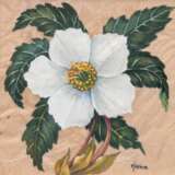 Reine, Käthe (1894 Halver-1976 Rostock) "Christrose", Aquarell/ Tempra auf Japanpapier (so vero bez.), 10x10 cm, hinter Glas und Rahmen - фото 1