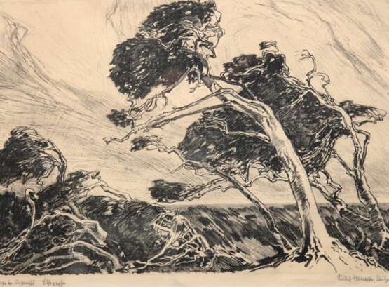 Warnecke, Rudolf (1905 Bautzen-1994 Ravenstein) "Sturm im Darßer Wald", Litho., sign. u.r. und bez. u.l., 30,5x39,5 cm, im Passepartout hinter Glas und Rahmen - фото 1