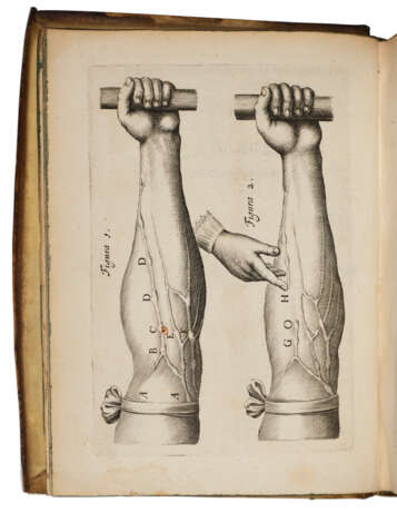 De Motu Cordis & Sanguinis in animalibus, Anatomica Exercitatio - фото 1