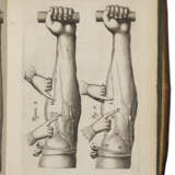 De Motu Cordis & Sanguinis in animalibus, Anatomica Exercitatio - фото 2