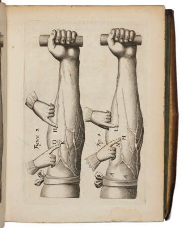 De Motu Cordis & Sanguinis in animalibus, Anatomica Exercitatio - фото 2