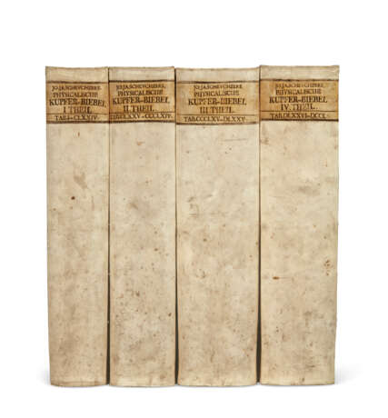 Kupfer-Bibel, in welcher Die Physica Sacra - фото 2