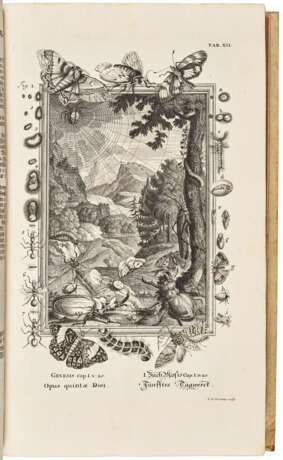 Kupfer-Bibel, in welcher Die Physica Sacra - фото 3