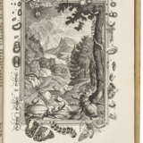 Kupfer-Bibel, in welcher Die Physica Sacra - фото 3