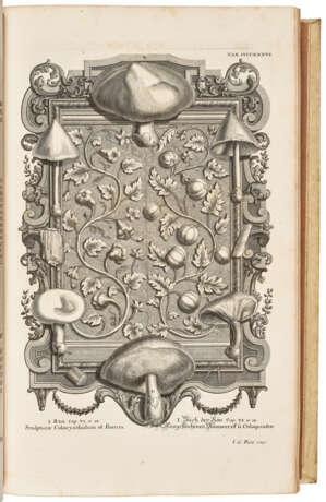 Kupfer-Bibel, in welcher Die Physica Sacra - фото 4
