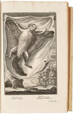 Kupfer-Bibel, in welcher Die Physica Sacra - фото 5