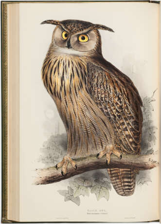 The Birds of Europe - Foto 2