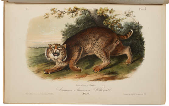 The Quadrupeds of North America - photo 1