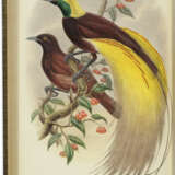Monograph of the Paradiseidae, or Birds of Paradise, and Ptilonorhynchidae, or Bower-birds - photo 2