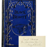 Black Beauty - Foto 1