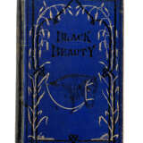Black Beauty - Foto 2