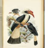 A Monograph of the Bucerotidae, or Family of the Hornbills - фото 2