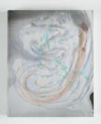 Kunstdrucke. Camille Henrot. Mother Tongue