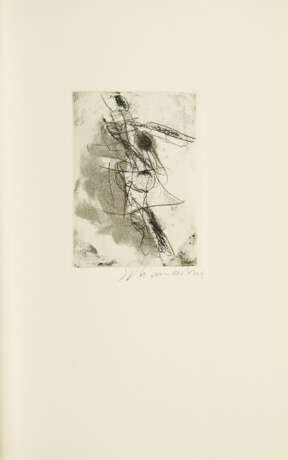 Emil Schumacher. Rolf Dieter Brinkmann: Le Chant du Monde - photo 5