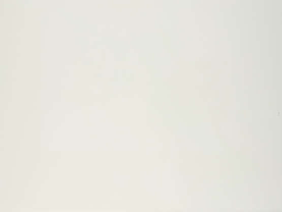 Sigmar Polke. Das Kunstwerk der Woche - photo 2