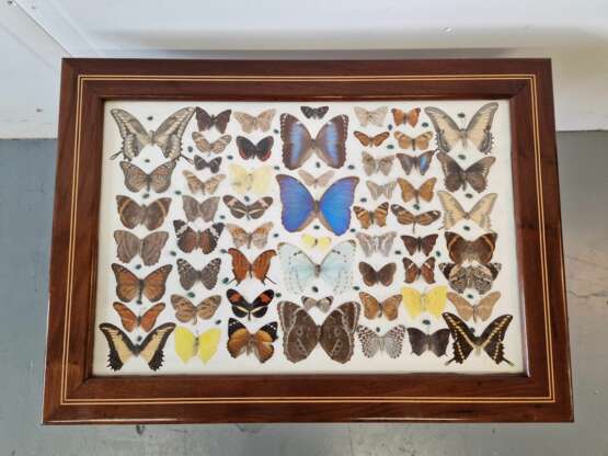 Vintage table with butterflies Mahogany Design of 50-60’s Mid-20th century - photo 4