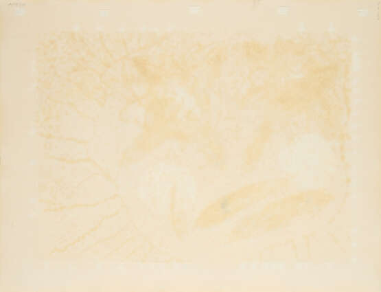 Michael Buthe. Espagna - photo 8