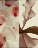 Thomas Florschuetz. Mixed Lot of 2 Photographs