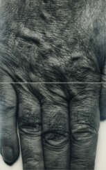 John Coplans. Self Portrait (Hand, two panels, vertical)