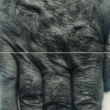John Coplans. Self Portrait (Hand, two panels, vertical) - photo 1