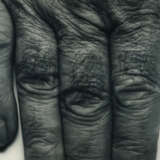 John Coplans. Self Portrait (Hand, two panels, vertical) - photo 2