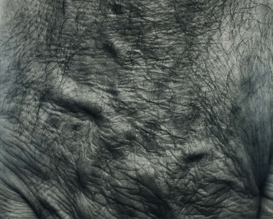 John Coplans. Self Portrait (Hand, two panels, vertical) - photo 4