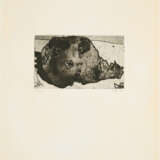 Horst Janssen. Stillleben - photo 6