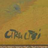 Cirulisis The end of the 20th century - photo 2