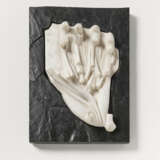 Michael Schoenholtz. Lob der Wissenschaft (Studie). Anatomie der Hand - Foto 2