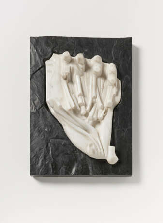 Michael Schoenholtz. Lob der Wissenschaft (Studie). Anatomie der Hand - Foto 2