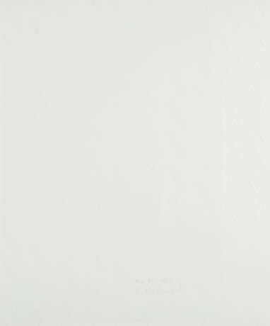 Boris Becker. Untitled (1827) - Foto 2