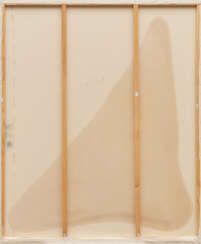 Florian Meisenberg. Cosmic Experiences