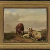 Jones, Adolphe Robert. Schafe auf der Weide - photo 2