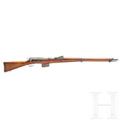 Schmidt Rubin, Mod. 1889