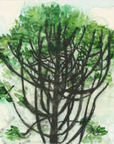 Jiri Georg Dokoupil. Untitled (Baum)