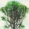 Jiri Georg Dokoupil. Untitled (Baum) - Сейчас на аукционе