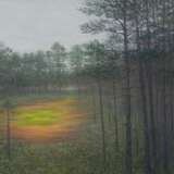 Small Swamp Canvas 21th century - photo 3