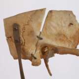 Anatomisches Modell - photo 3