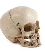 Divers objets anciens. Anatomiemodell