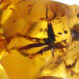 Zwei Rohbernsteine - Foto 4