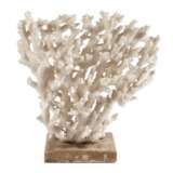 Korallenstock - фото 1