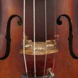 Violine - фото 5