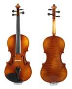 Instruments and tools. Violine